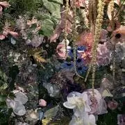 みかんの画像