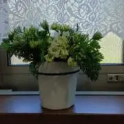 sarina
