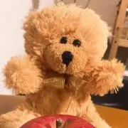 Kumaちゃん❤️即購入OK！の画像