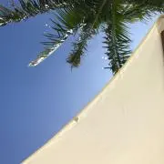 しゅんてぃの画像