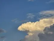 zuuの画像