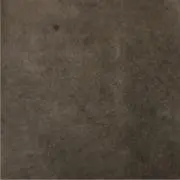 雅治