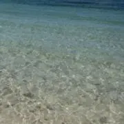 プヨンの画像