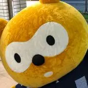 こんこん。