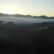 マーニー