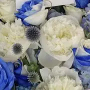 みの画像