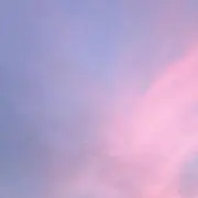 こむぎ