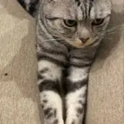 みる〜22まで発送不可の画像
