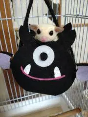 むこどのの画像