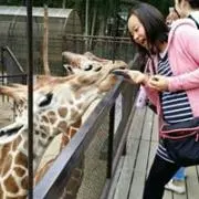ちゃみー