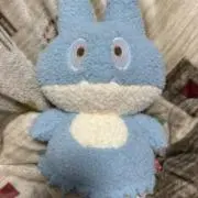 さーじまの画像