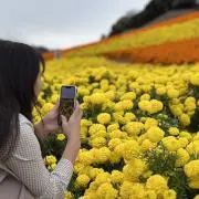 310の画像