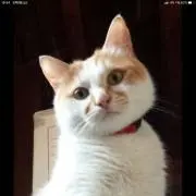 ジロさん