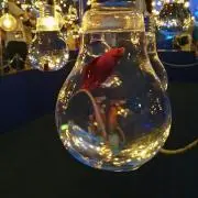ちぃ