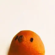 紅 （プロフをお読みください）の画像