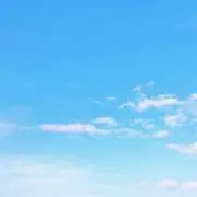 スカイの画像