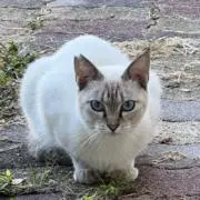 すずお（プロフ必読）の画像