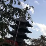 ウツボカズラの画像