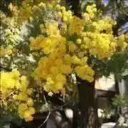 くぅ太の画像