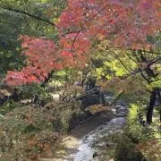 天叢雲の画像