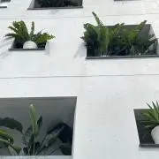 Nocoの画像