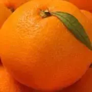 yukkoの画像