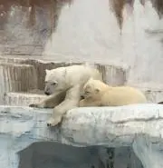 さくたろう
