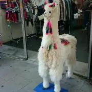 ビビ