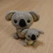ノンノンの画像