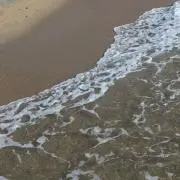 Yの画像