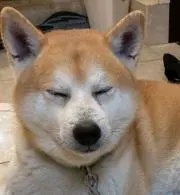 ファンタジーの画像