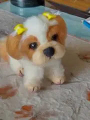 ぼりぼり