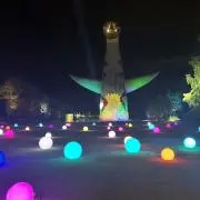 ぴーこの画像