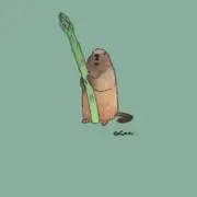 chasoの画像