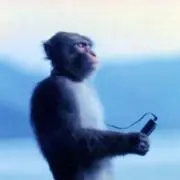 ぎゅうにく