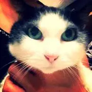 ミーナ【プロフご一読ください】