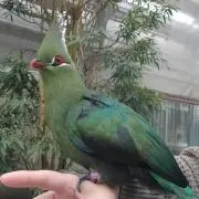 beautifulsandの画像
