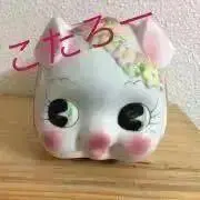 こたろーの画像
