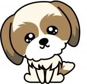 【迅速・丁寧】バラエティーショップBBの画像