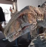 ジュラ【※必ずプロフをご確認下さい】の画像