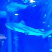 ☆最終値下げ☆日本製 新品 ガードル3点セット A65～H100 ブライダル