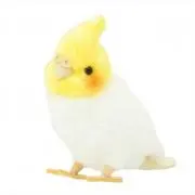てんこく。の画像