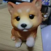 はる坊(プロフ必読！)の画像