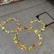 ますの画像