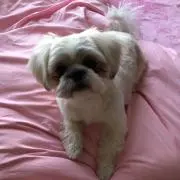 ゆき