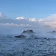 無糖コーヒーの画像