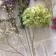 ★チョコ★只今出品配送お休み中です。