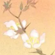 ちあ