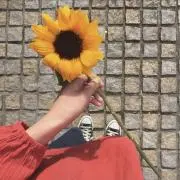 年子momの画像