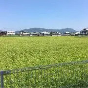 yu☆の画像